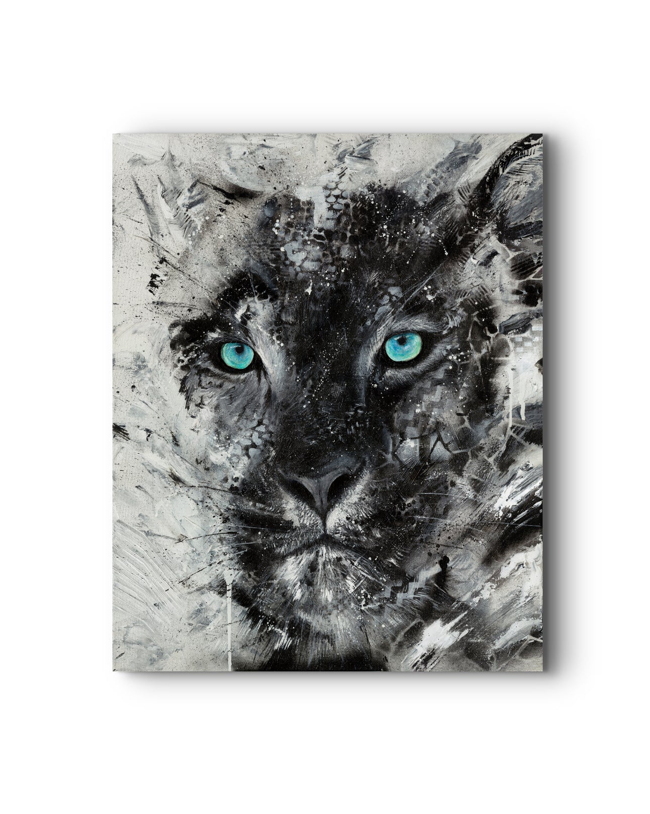 Snow Leopard