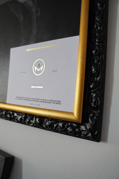 Black & Gold   Baroque Frame