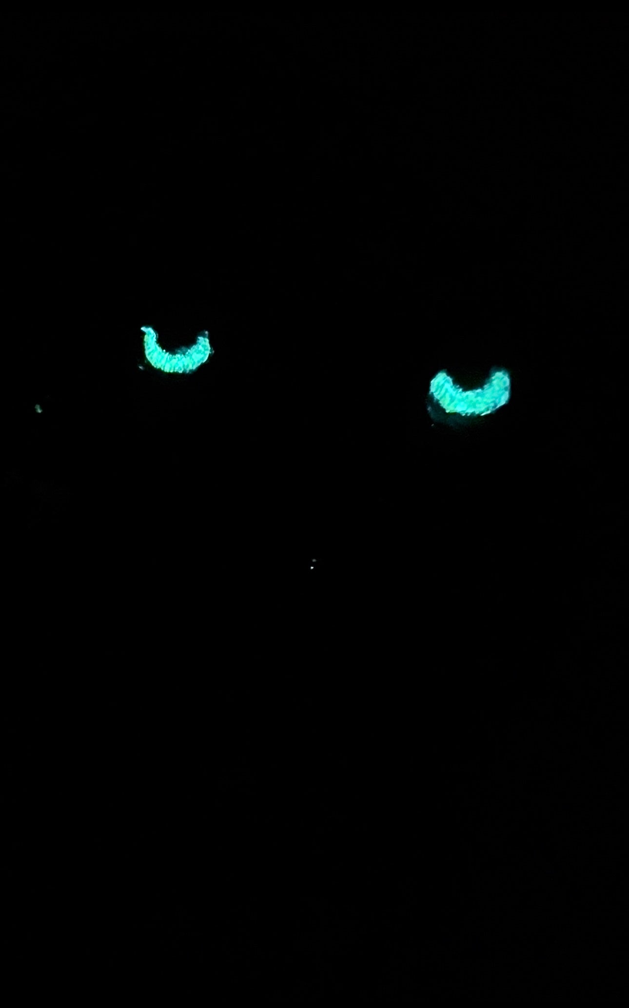 BLACK PANTHER
